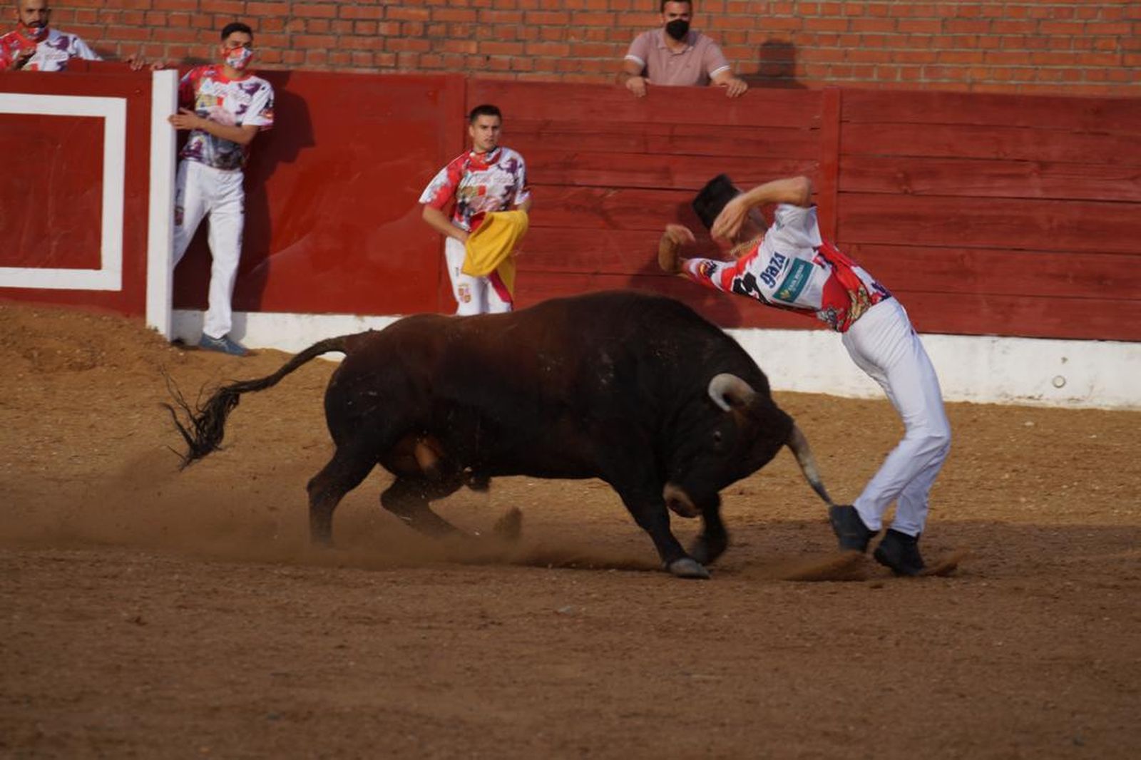 whatsapp-image-2021-07-03-at-21-51-45-12