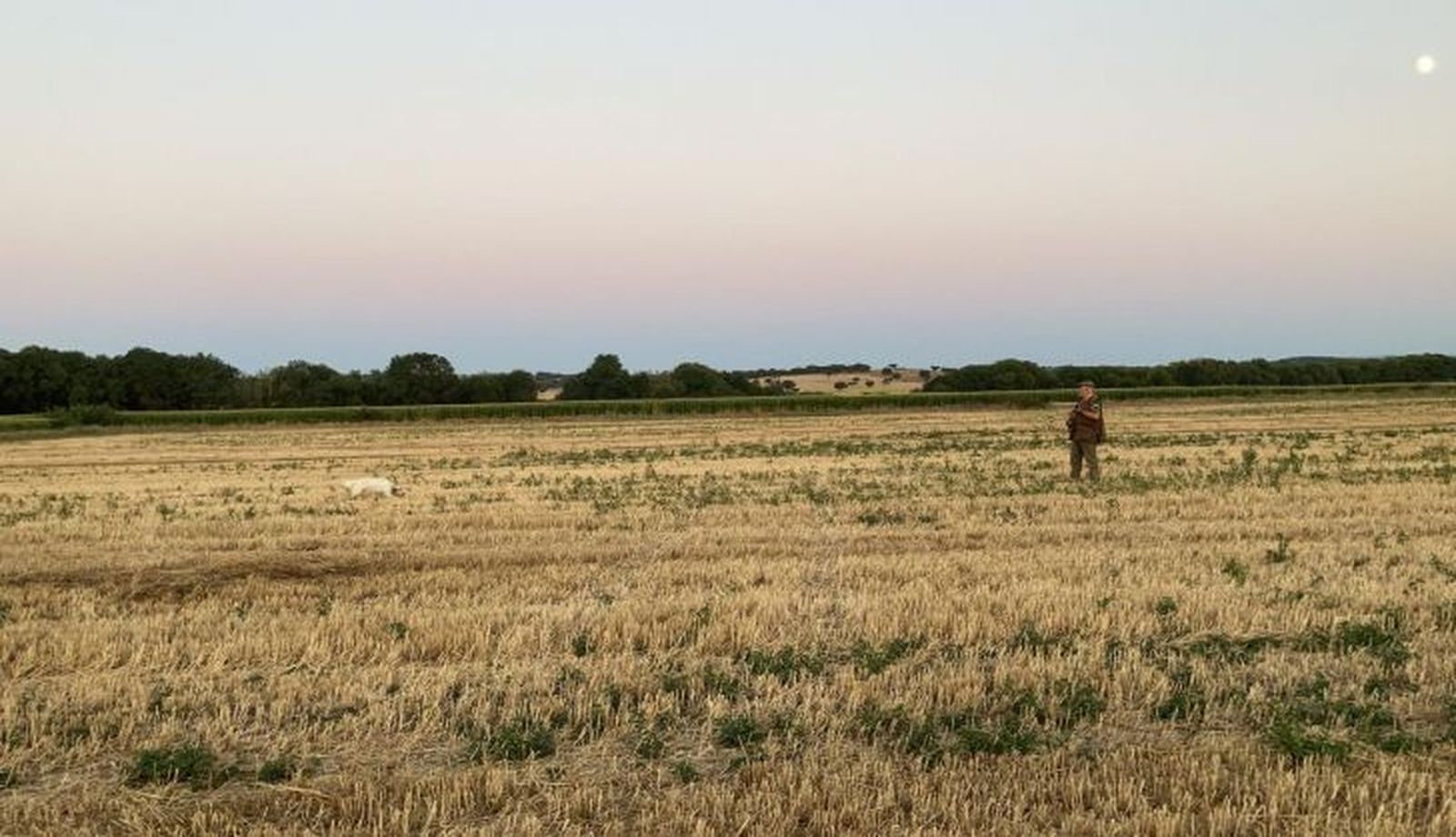El cazador Esteban Daniel por Santa Ines