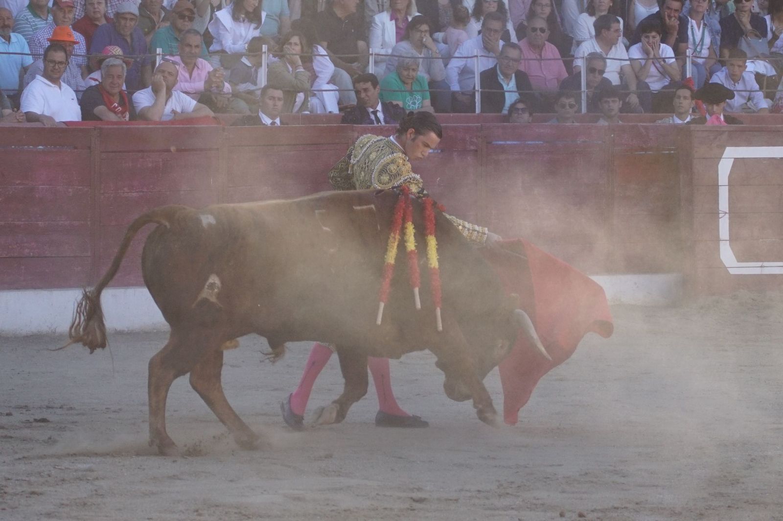 whatsapp-image-2024-06-02-at-22-11-59-1