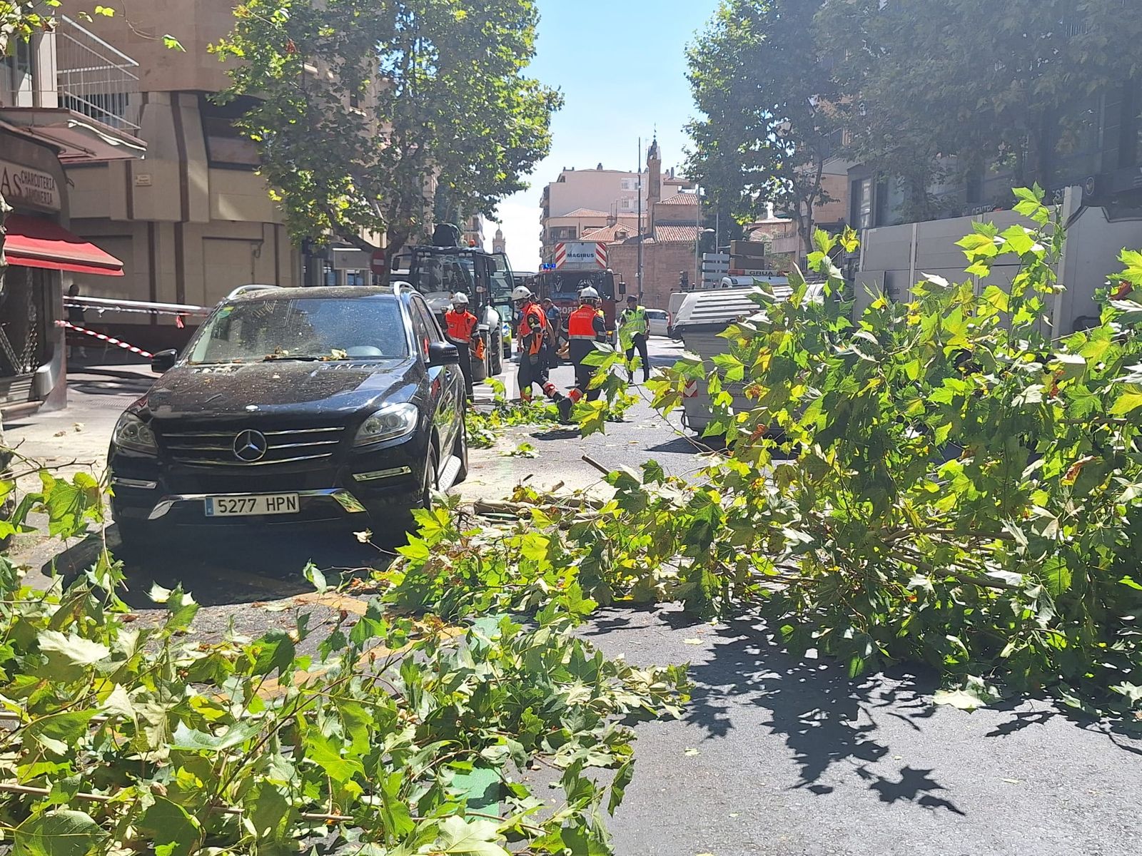 Un árbol cae sobre varios coches en Torres Villarroel