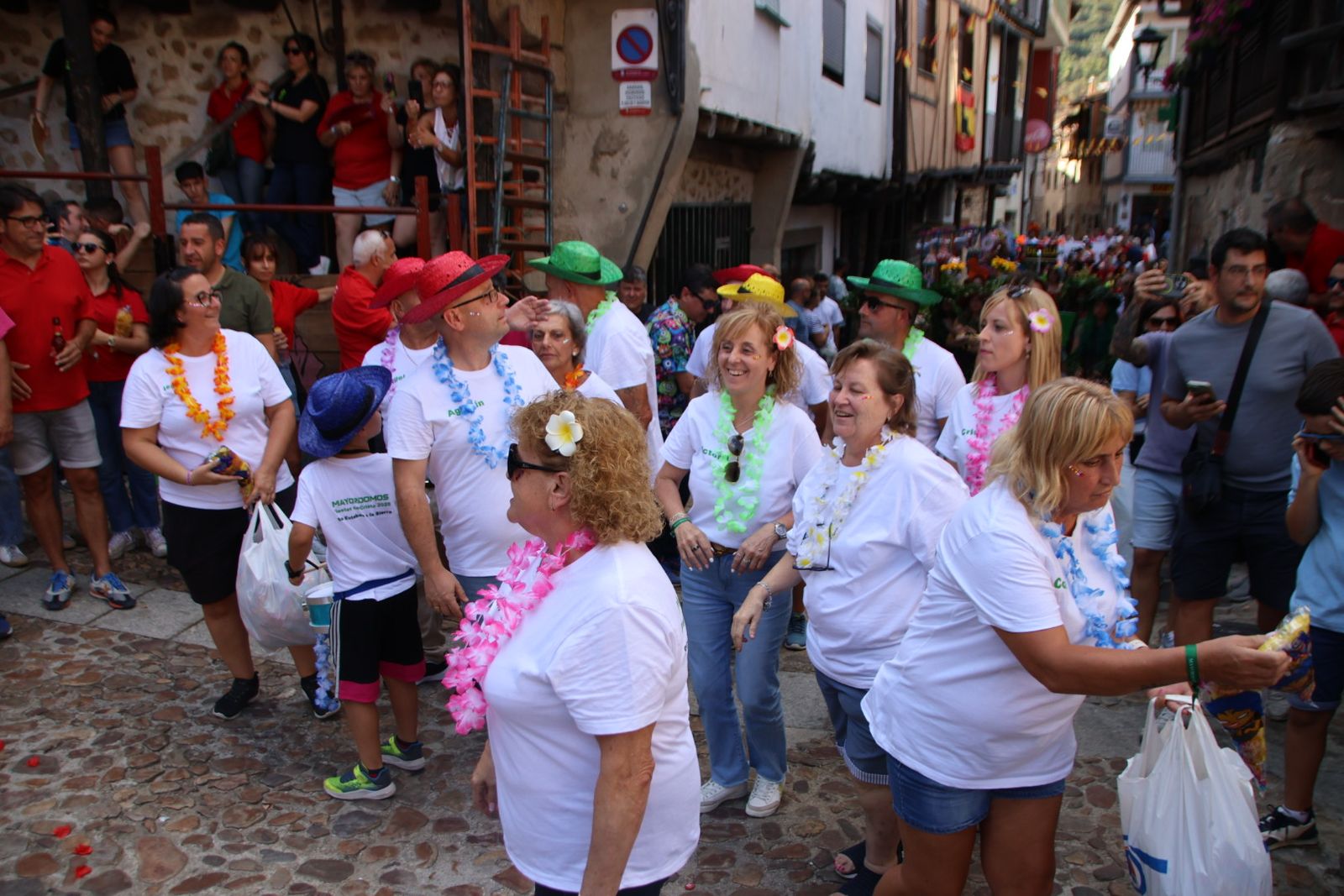 San Esteban de la Sierra, desfile de carrozas y disfraces