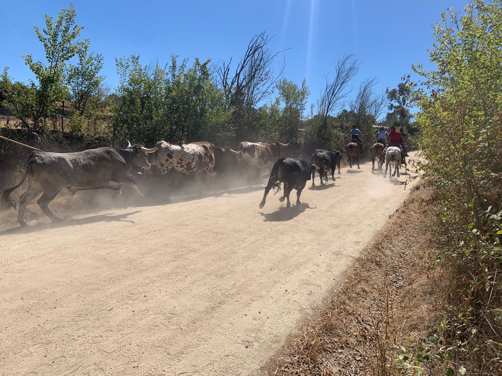 whatsapp-image-2022-08-21-at-1-04-27-pm-1