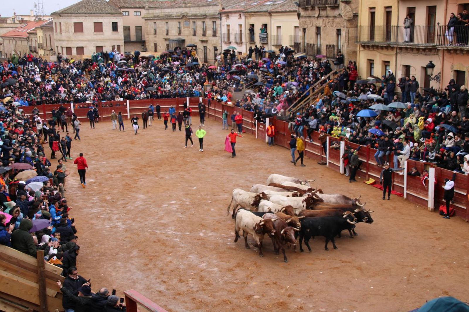 whatsapp-image-2024-02-11-at-11-41-25-7