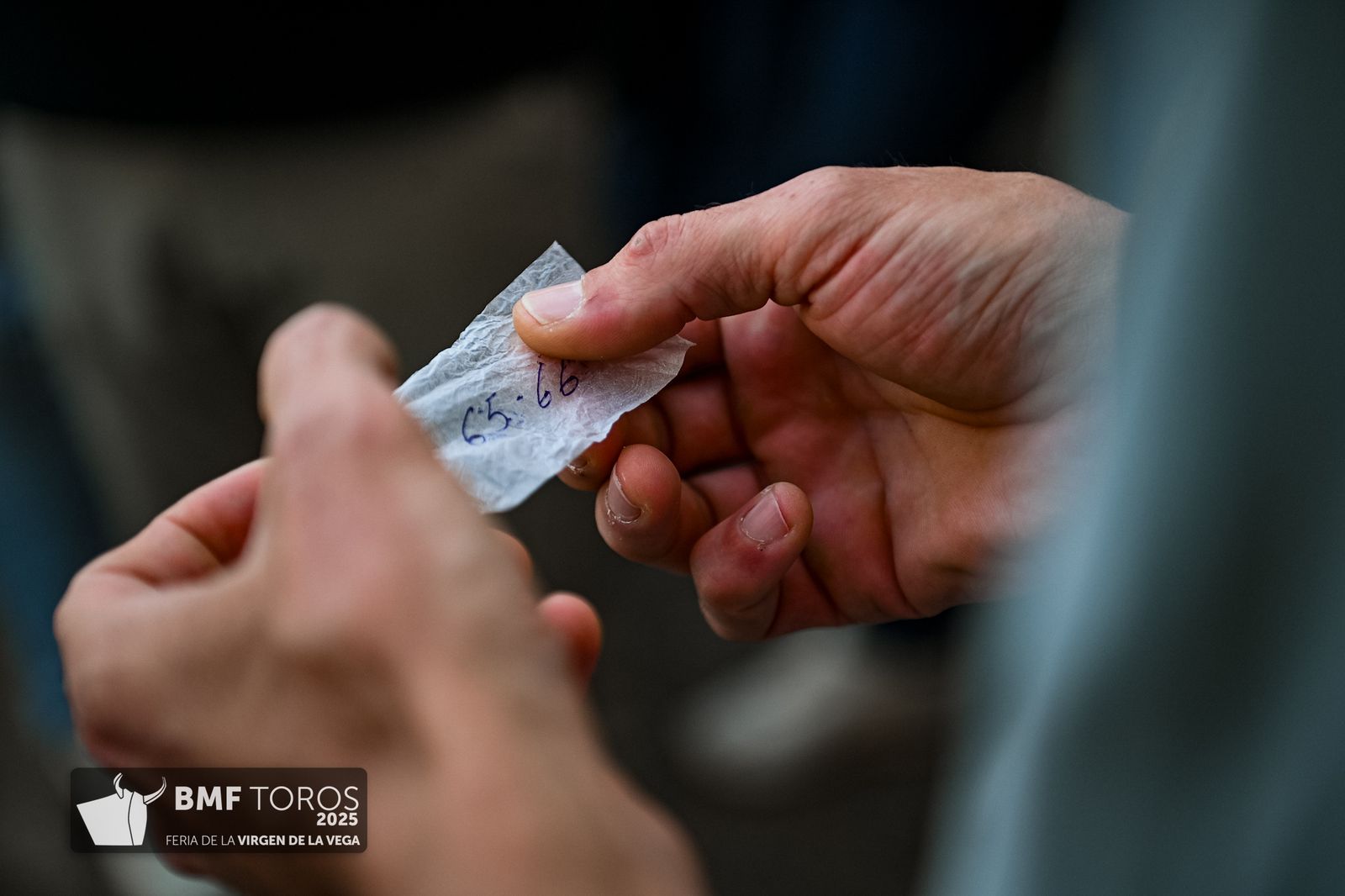 De 'Filósofo' a 'Volador': los toros García y Olga Jiménez para el regreso de Morante a La Glorieta con Ismael Martín y Marco Pérez