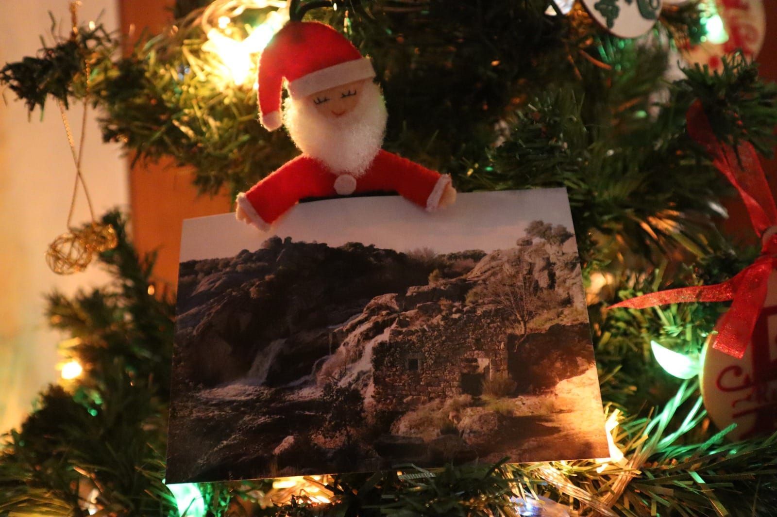 Iluminando la Navidad