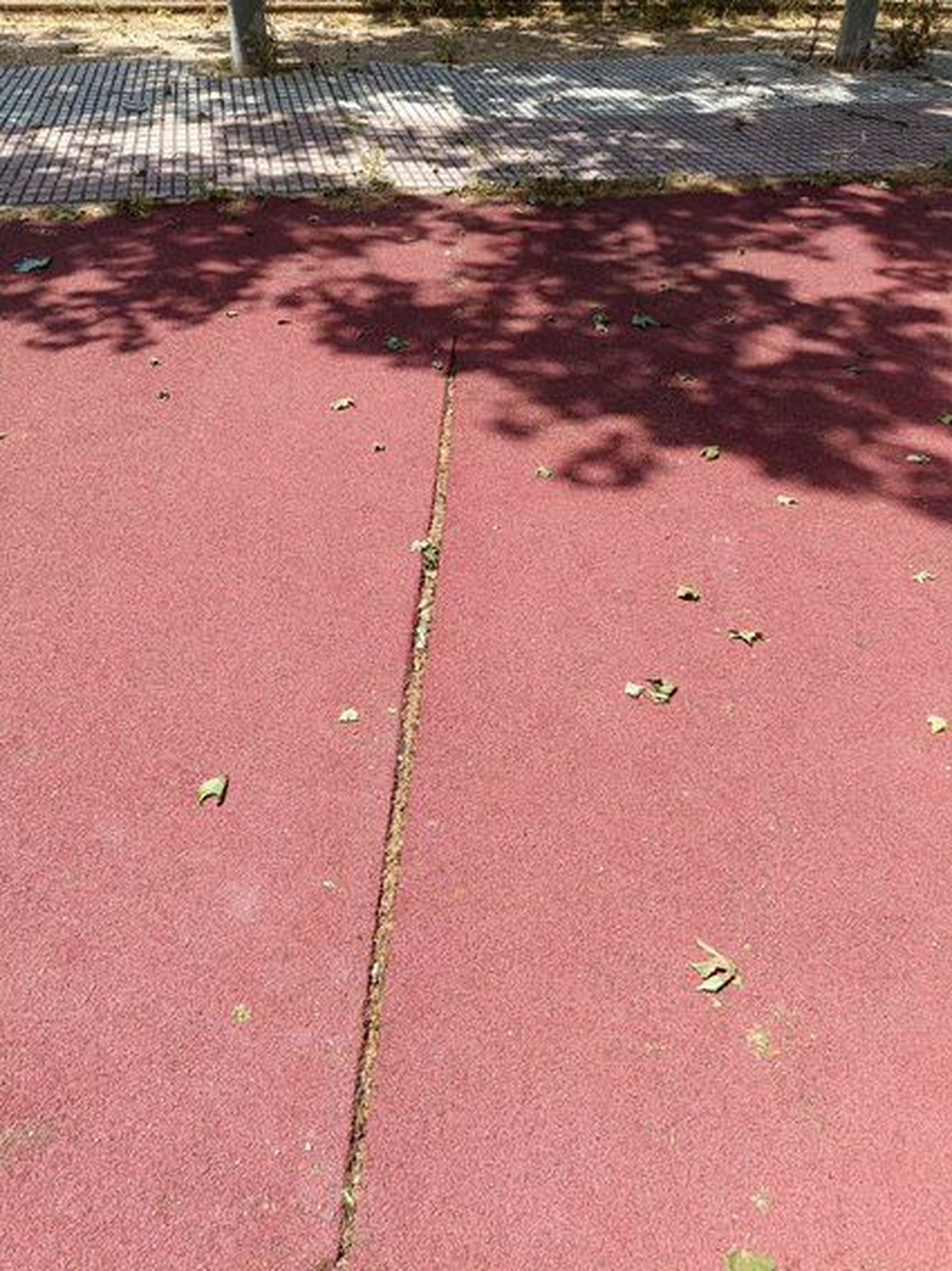 124b006c-3deb-4e31-b99f-a283e3e85b90