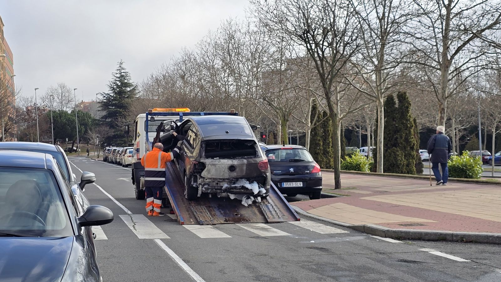 whatsapp-image-2025-02-03-at-12-12-57