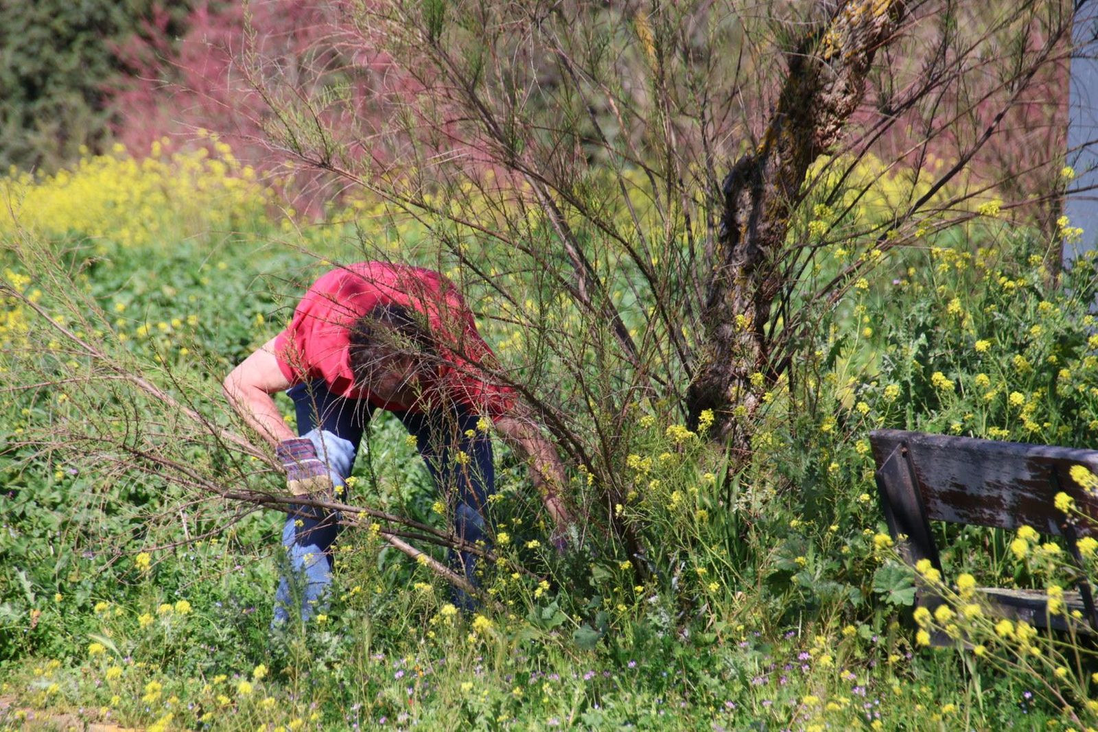 20240413104524-img-8087