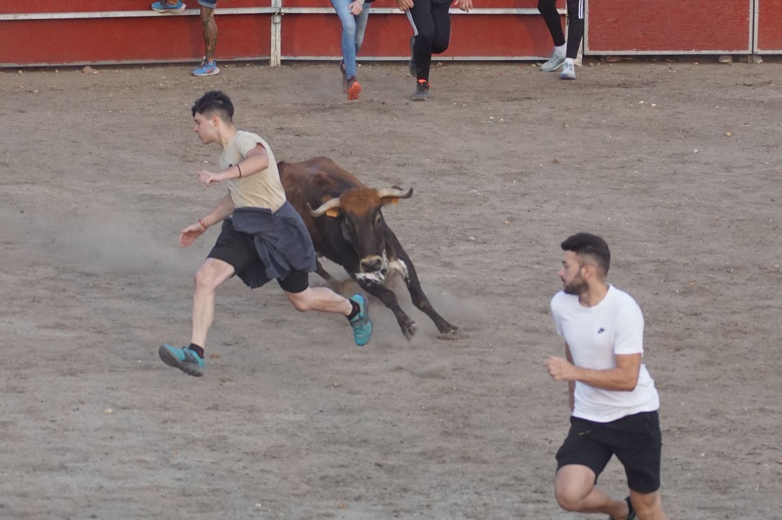 Carreras, risas y tradición: así se ha vivido El Toro en Santa Marta