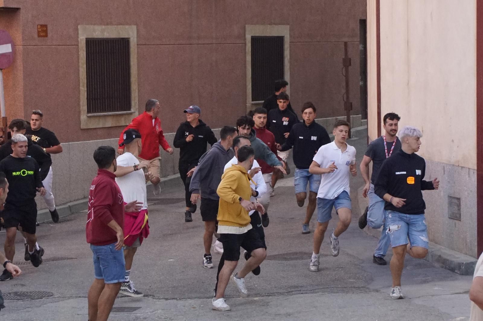 Encierro y capea en Alba de Tormes