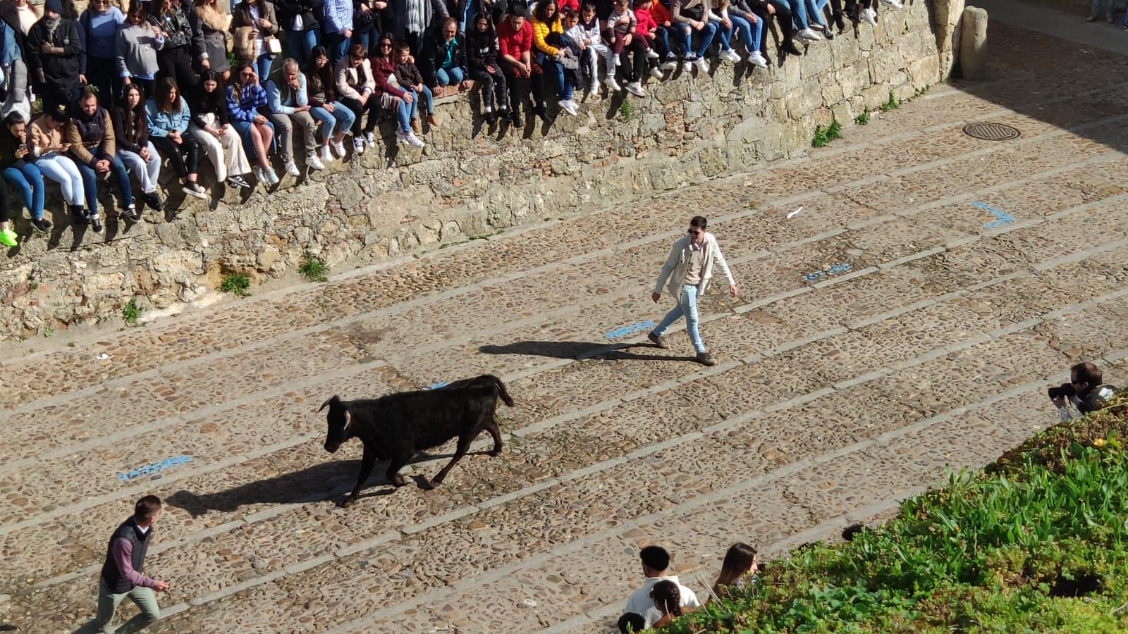 ambiente-con-la-suelta-de-vaquillas-en-el-domingo-de-pinata-en-ciudad-rodrigo-4