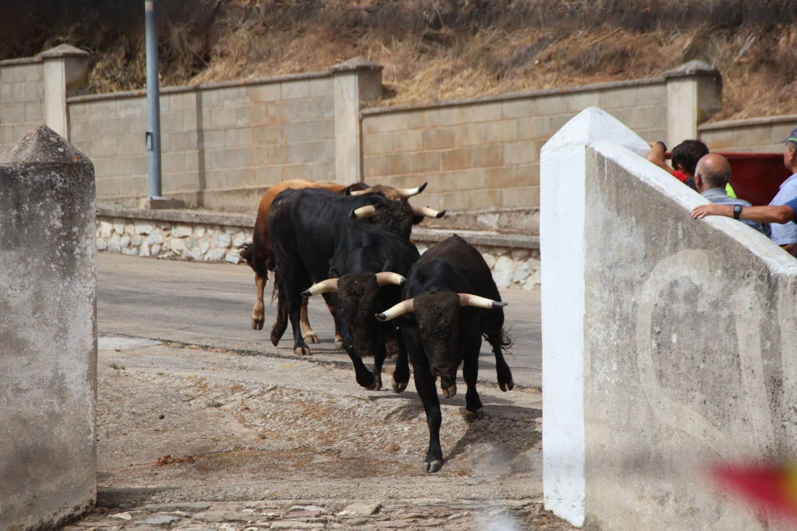 20230809113435-img-9529