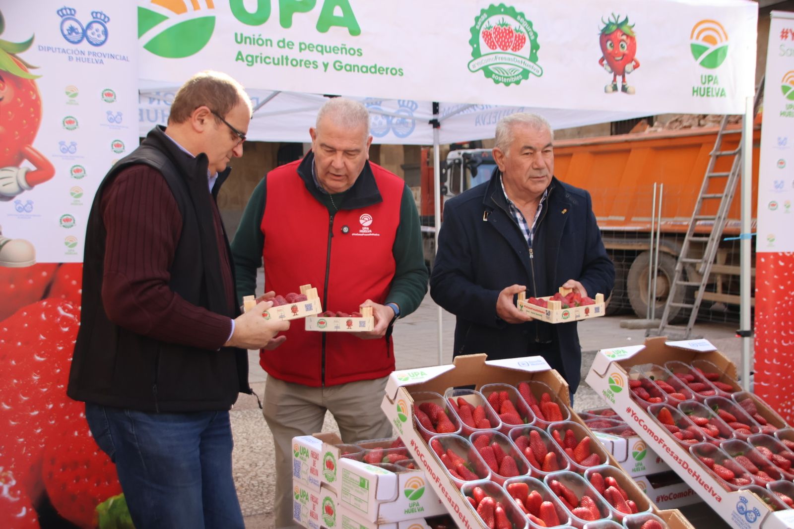 UPA reparte 700 tarrinas de fresas