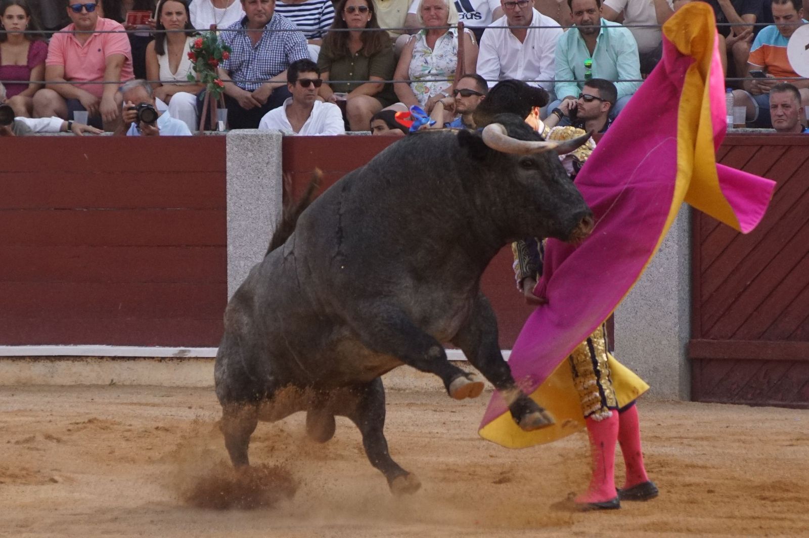 En imágenes la despedida de los ruedos de El Capea en Guijuelo