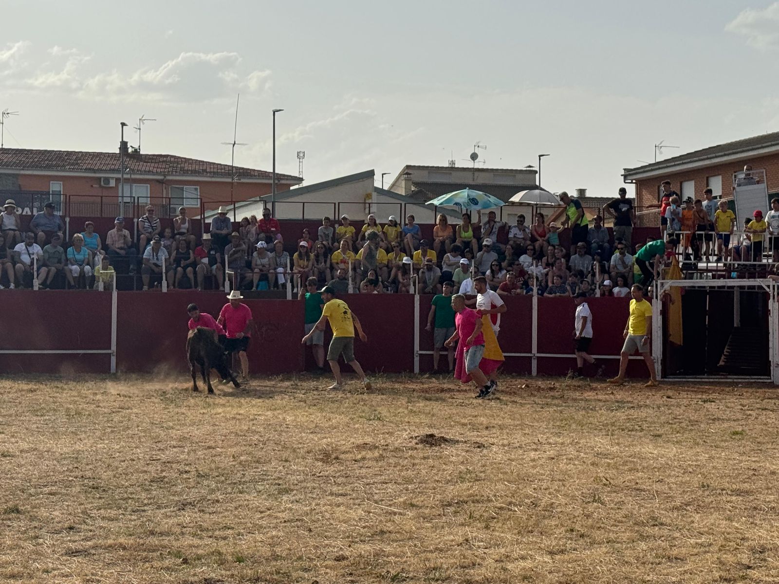 Aldeatejada. Grand Prix y vaquillas