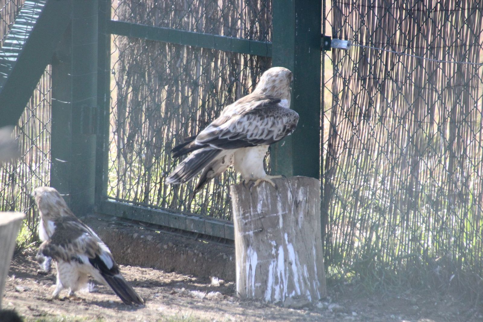 20230304151750-img-1663