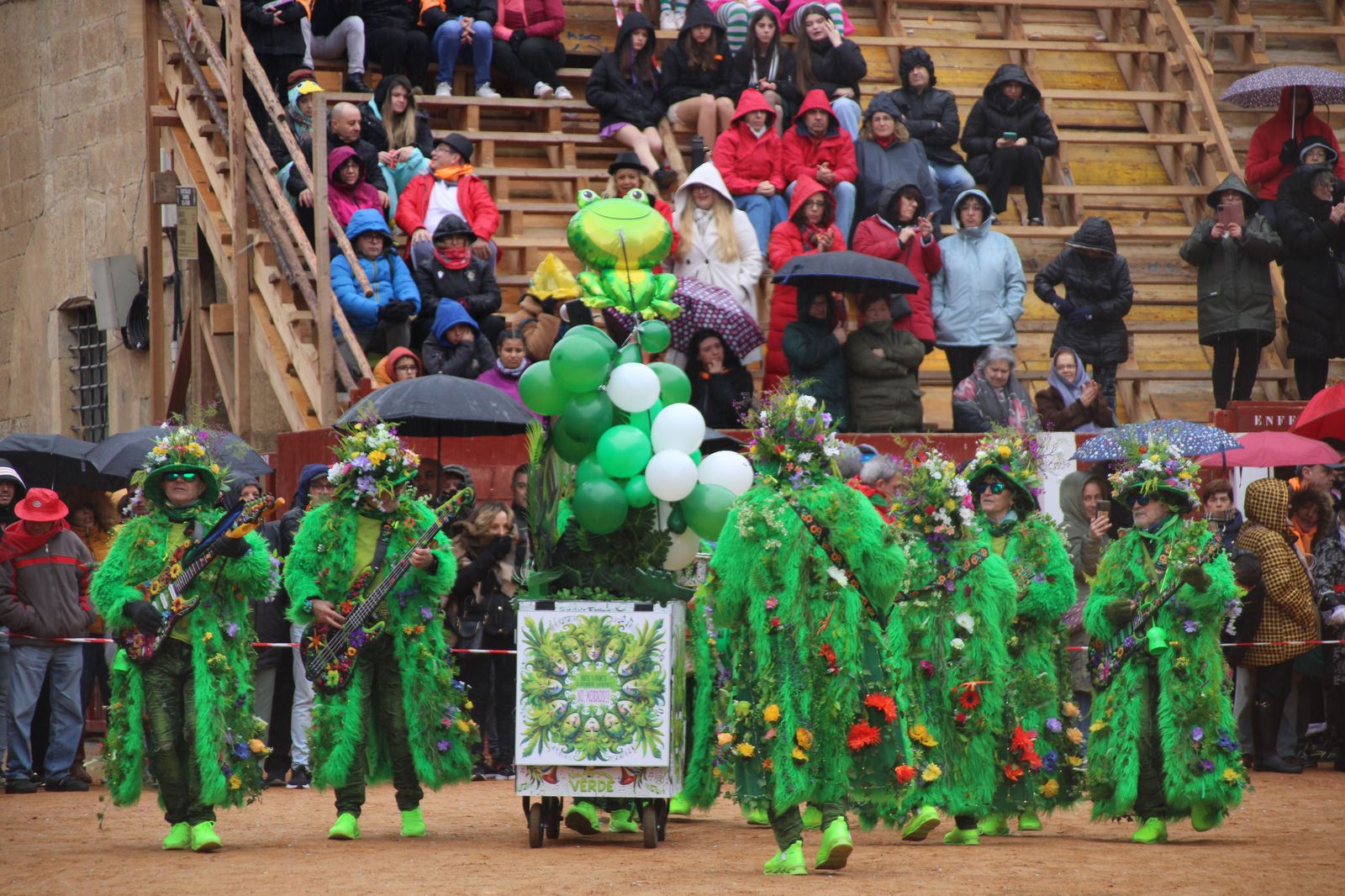 desfile-disfraz-callejero-sabado-carnaval-ciudad-rodrigo-2025-64