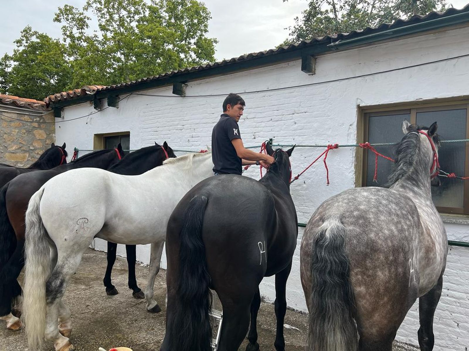 whatsapp-image-2023-09-09-at-12-19-19-2