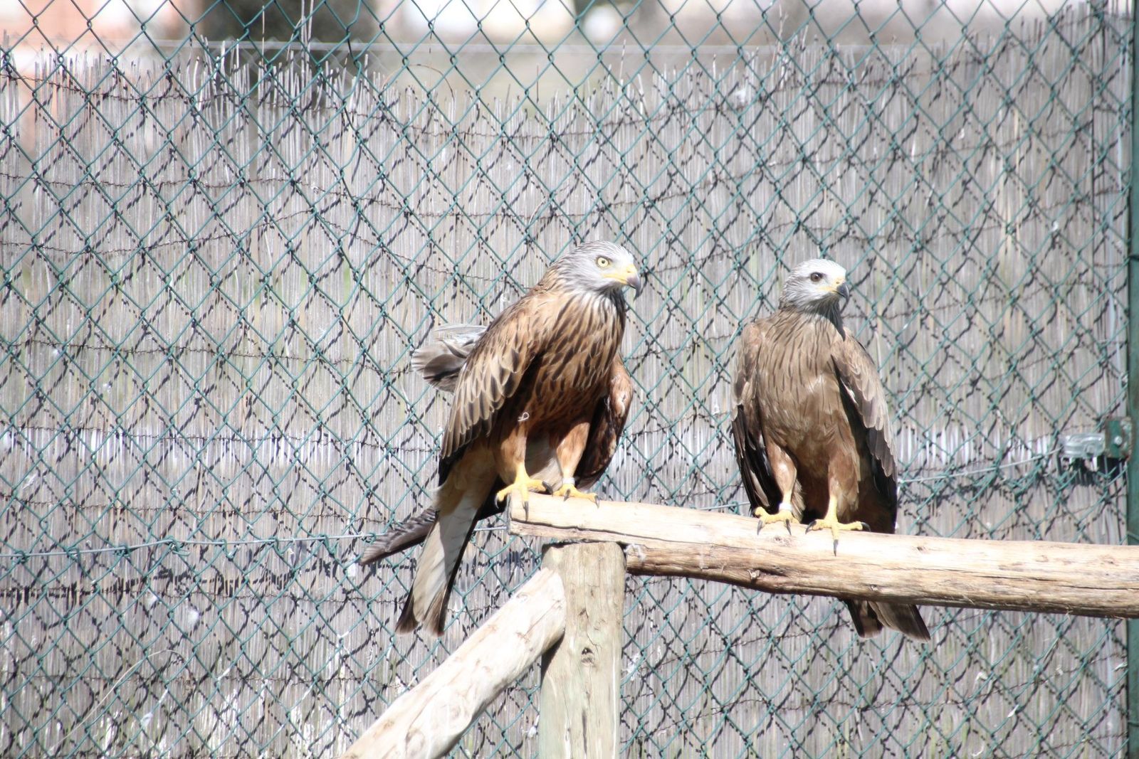 20230304152533-img-1683