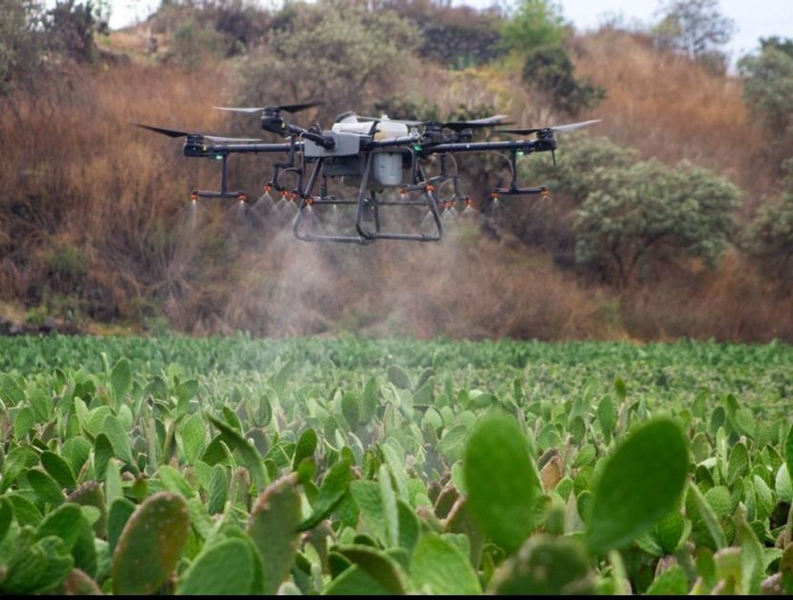 Zamora se convierte en referente europeo de innovación rural con 90.000 euros de la UE