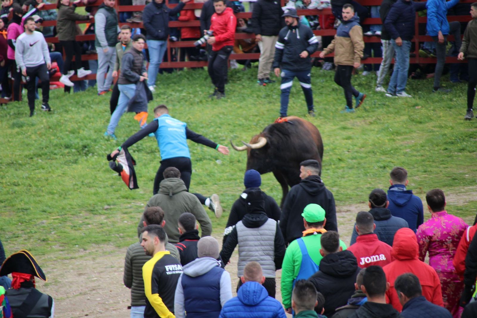 whatsapp-image-2025-03-01-at-11-56-31