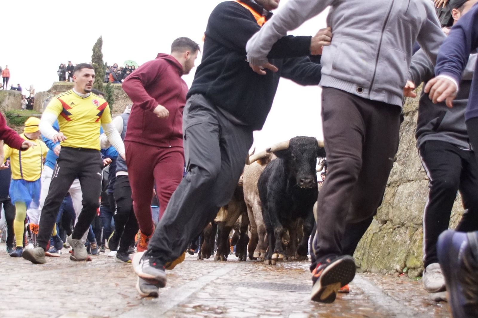 Capea matinal de domingo de carnaval en Ciudad Rodrigo (12).jpeg