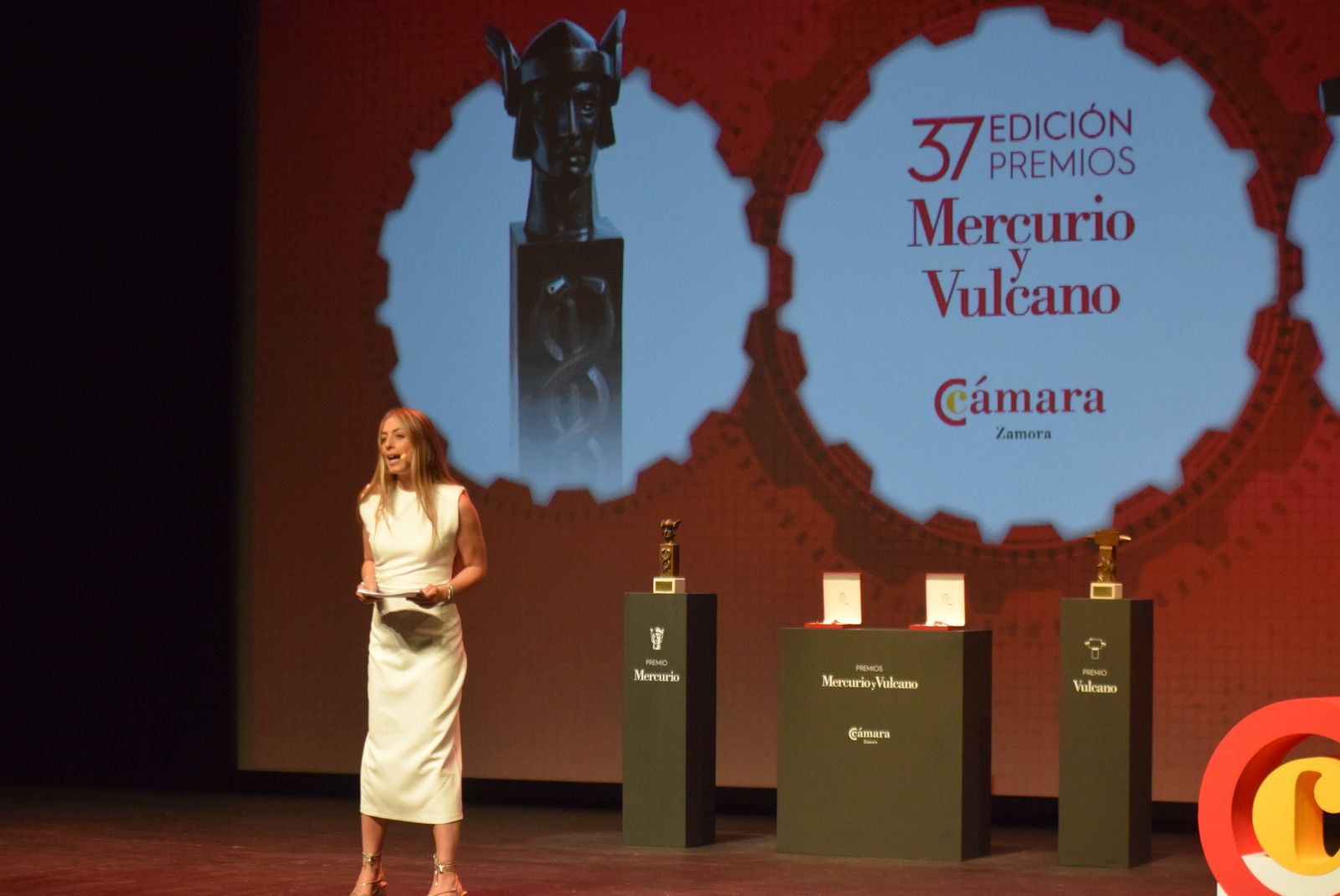 37 Edición Premios Mercurio y Vulcano (21).JPG