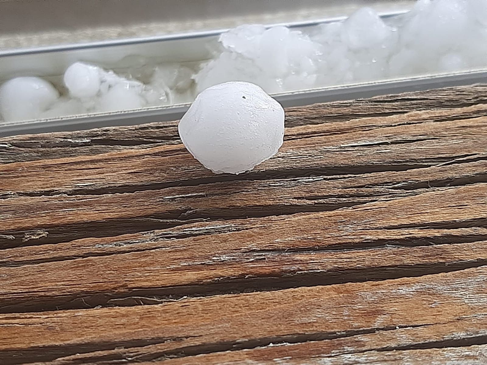 WhatsApp Image 2020 05 07 at 19.15.22