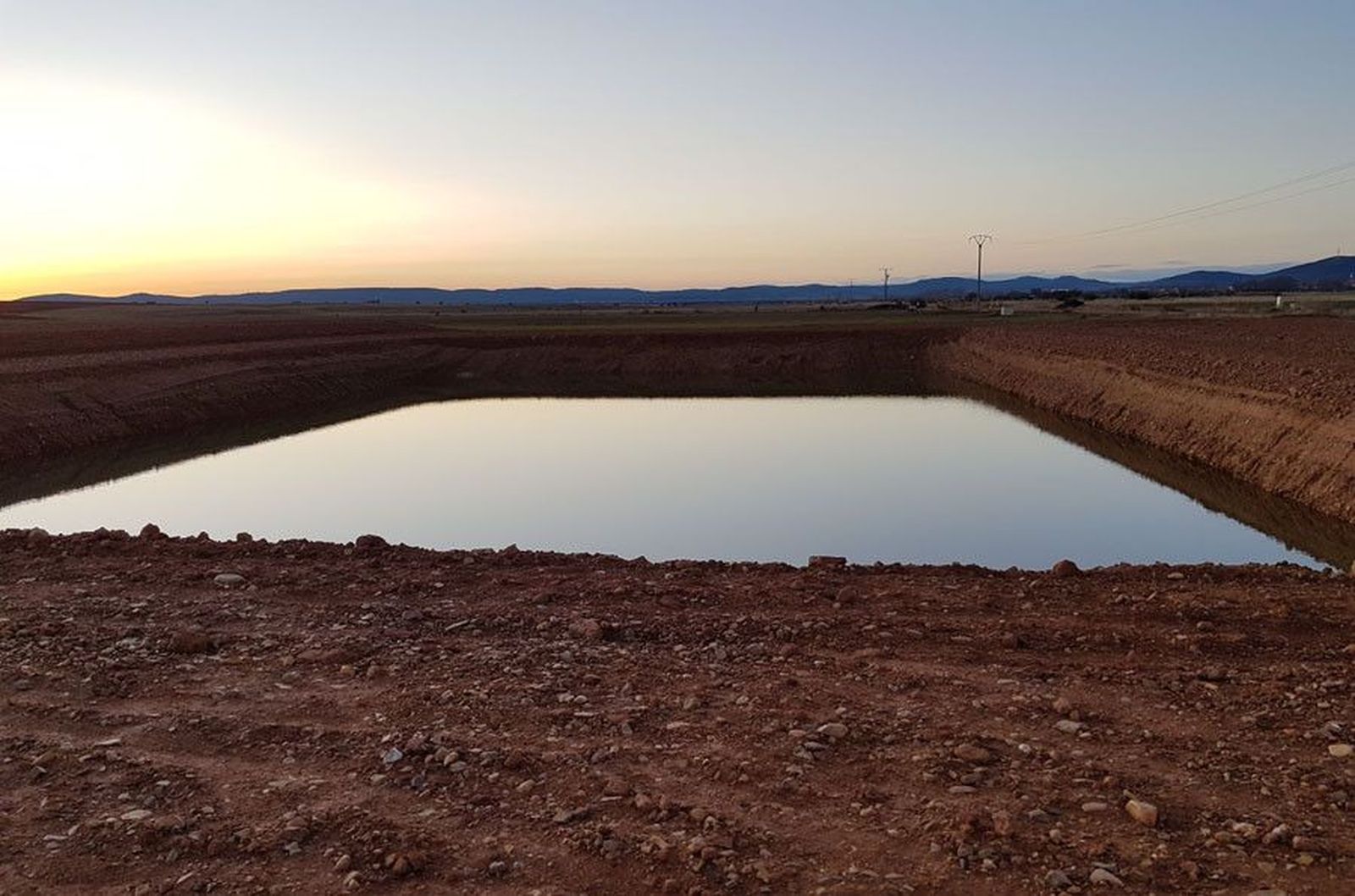 Macrogranja porcina tabara