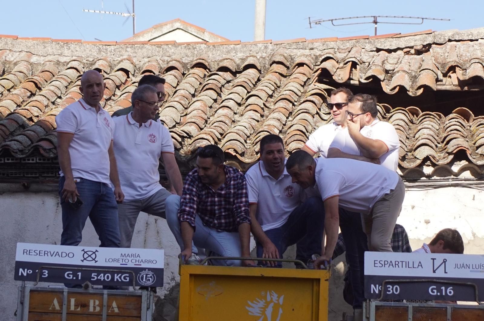 Toro del cajón y capea en Alba de Tormes