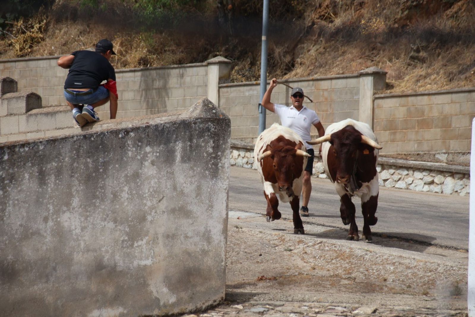 20230809113449-img-9539