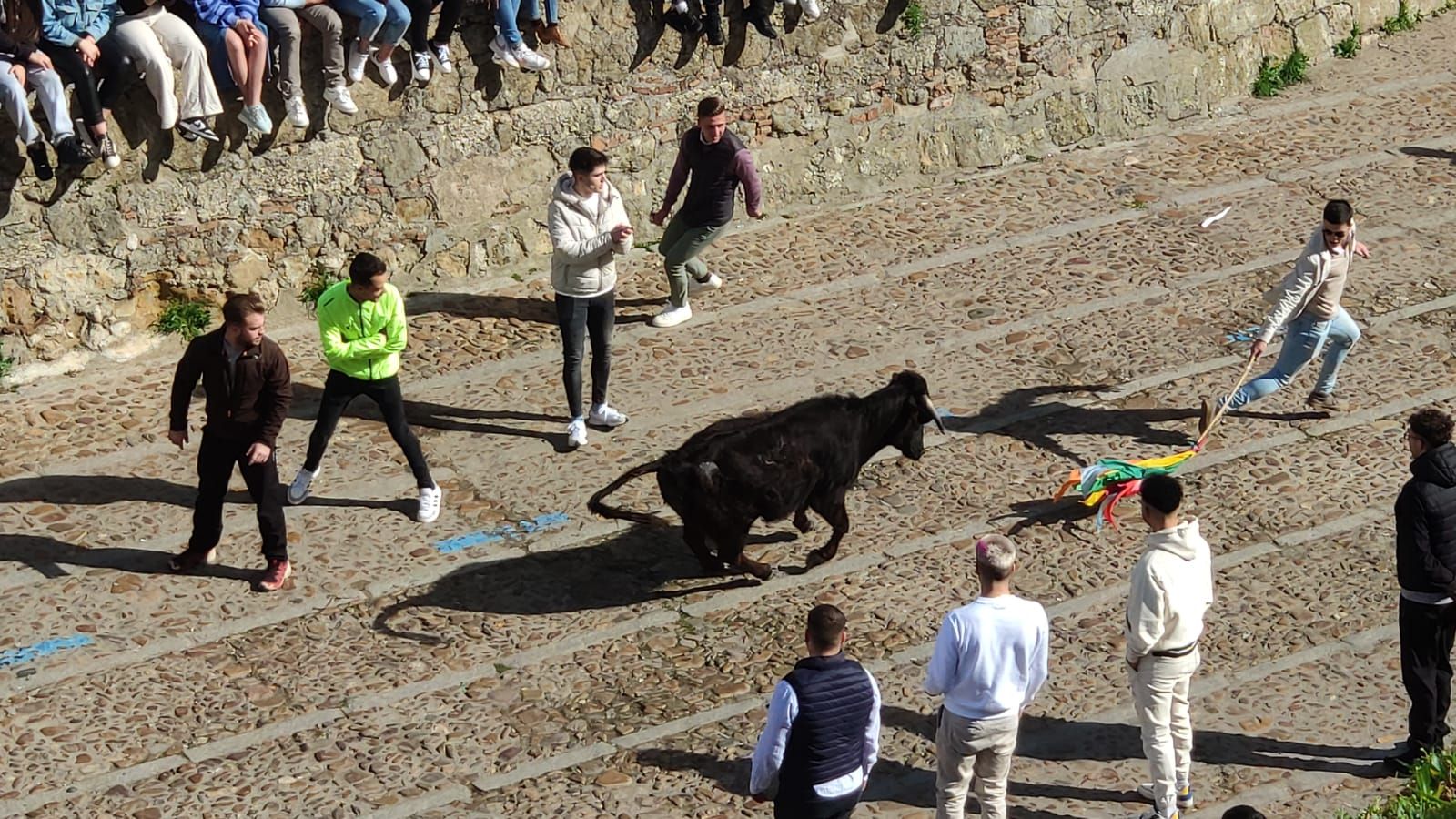 ambiente-con-la-suelta-de-vaquillas-en-el-domingo-de-pinata-en-ciudad-rodrigo-3