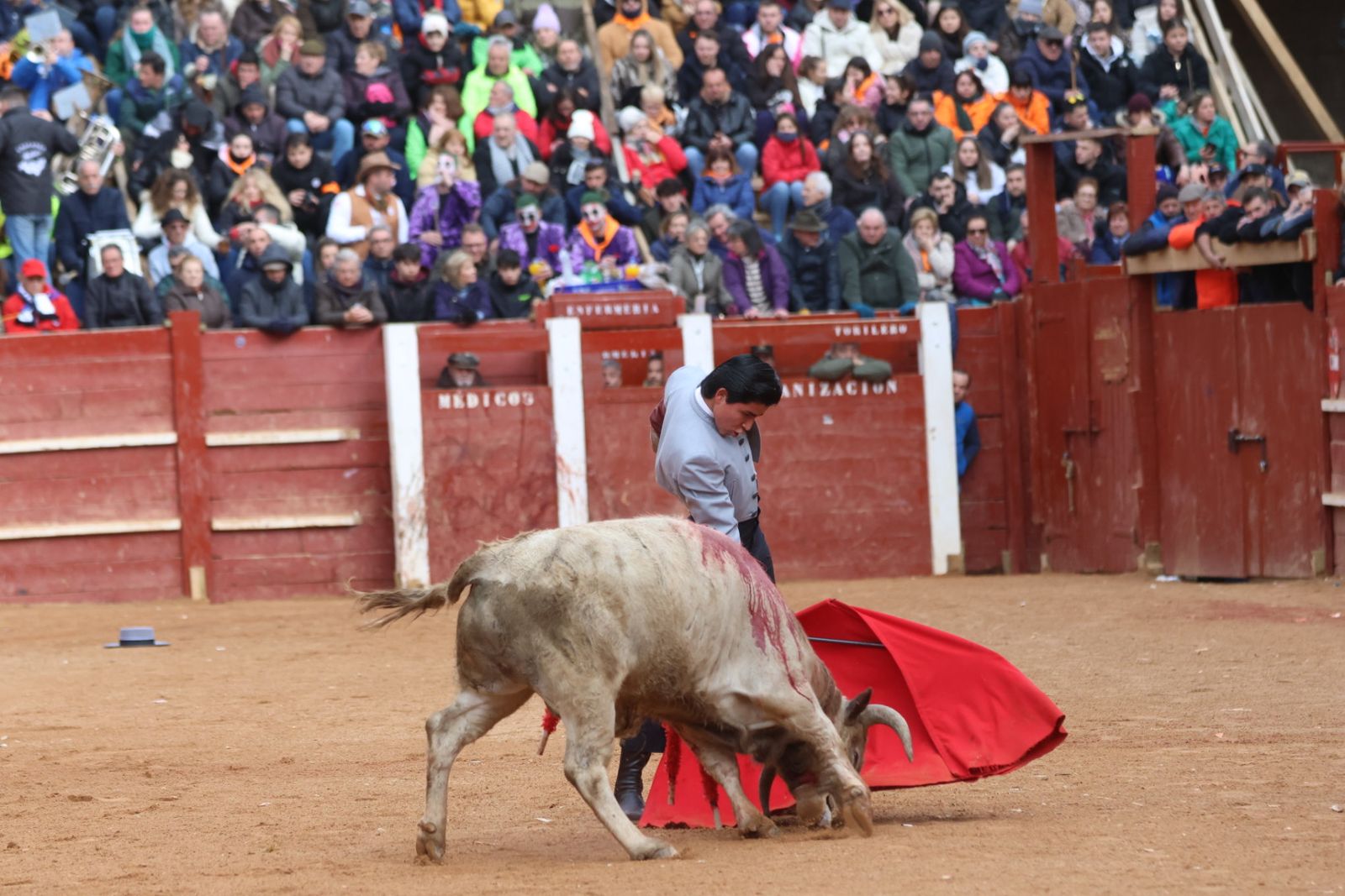 Novillada sin picadores del bolsín taurino y rejones en Ciudad Rodrigo