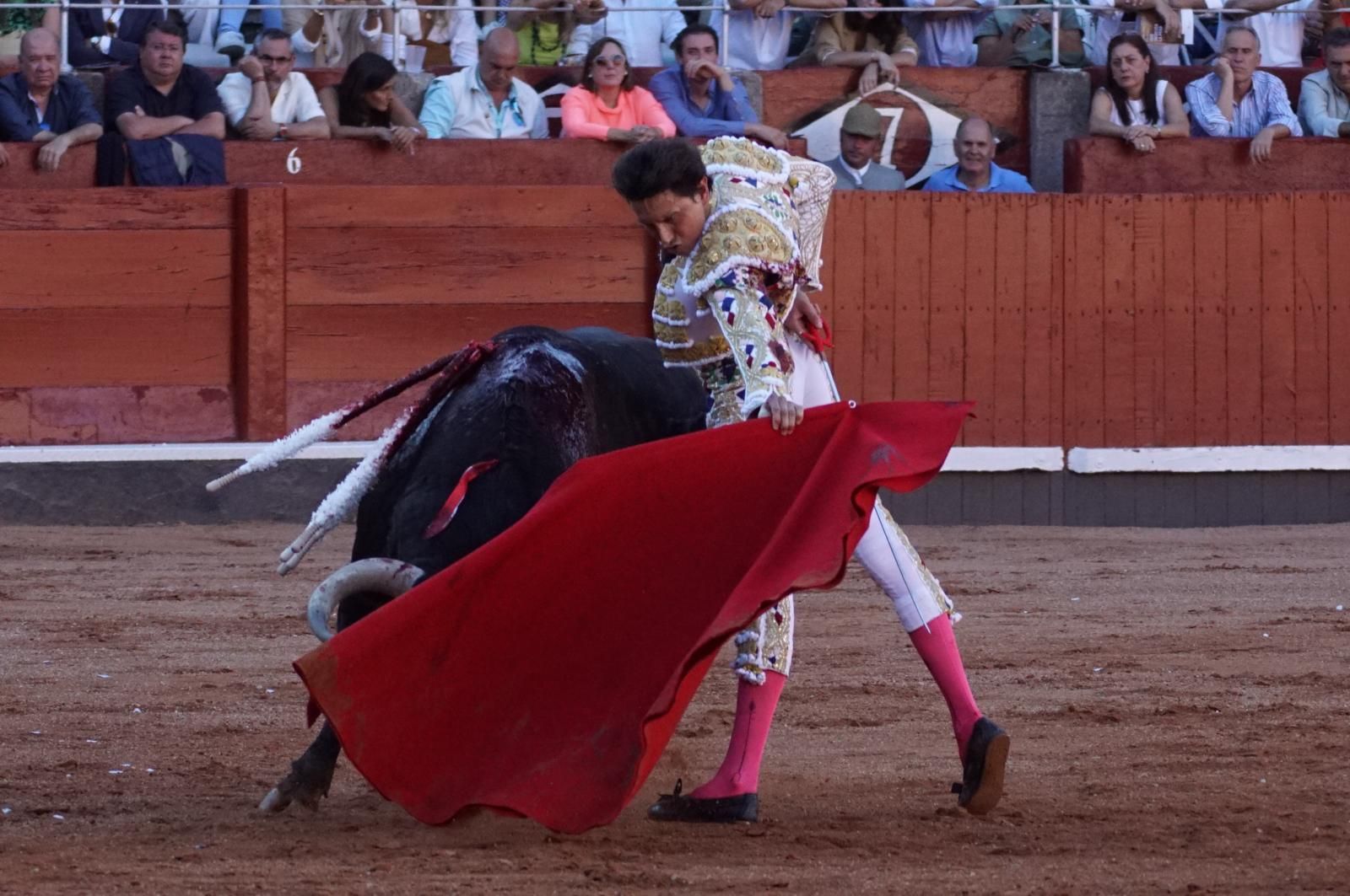 Emilio de Justo, Juan Ortega y Roca Rey inauguran el cartel de figuras en la feria de Salamanca: la corrida de Garcigrande en imágenes