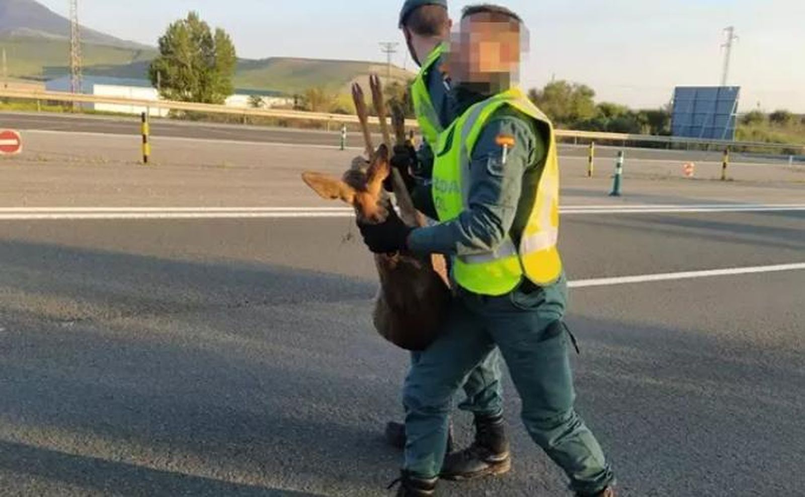 Agentes de la Guardia Civil recogiendo de la carretera a un corzo. Foto EP