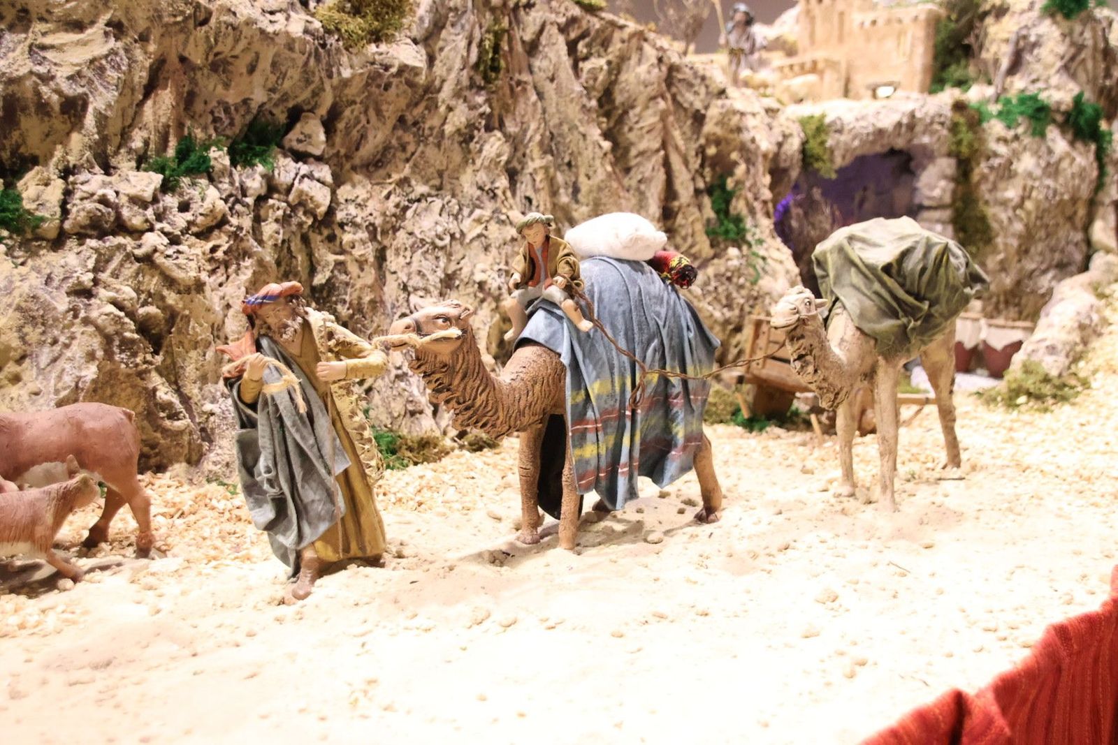 20231201134114-img-5048