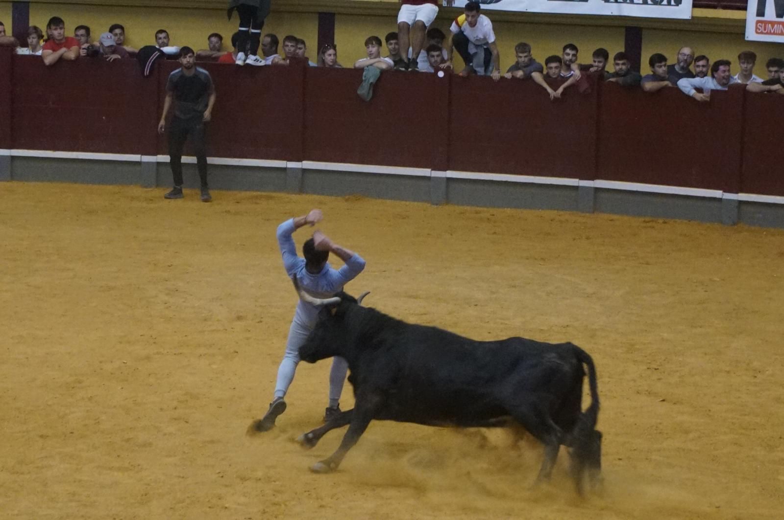Toro del cajón y capea en Alba de Tormes