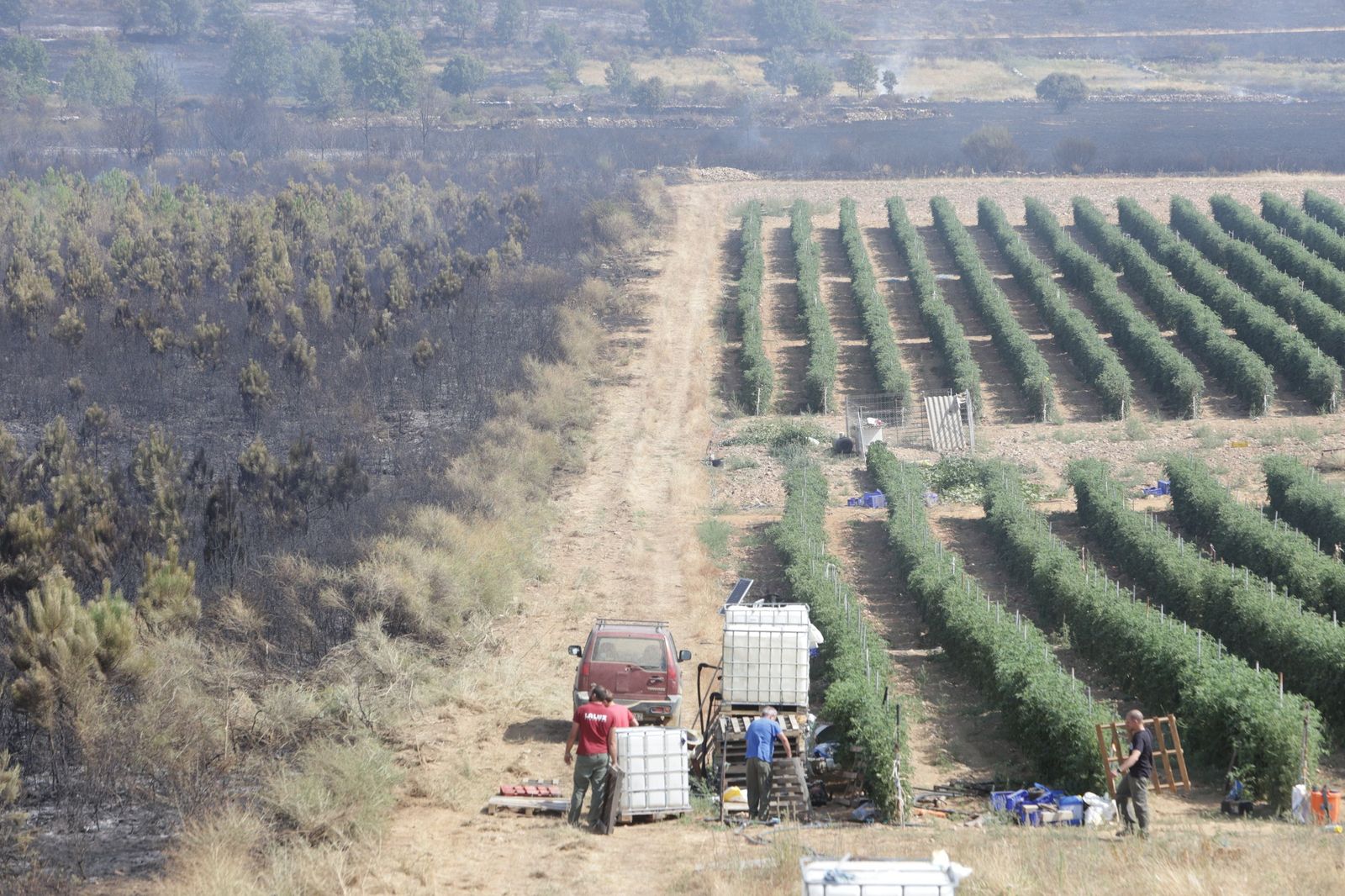 Incendio de Puercas. La situación entre Abejera y Riofrío