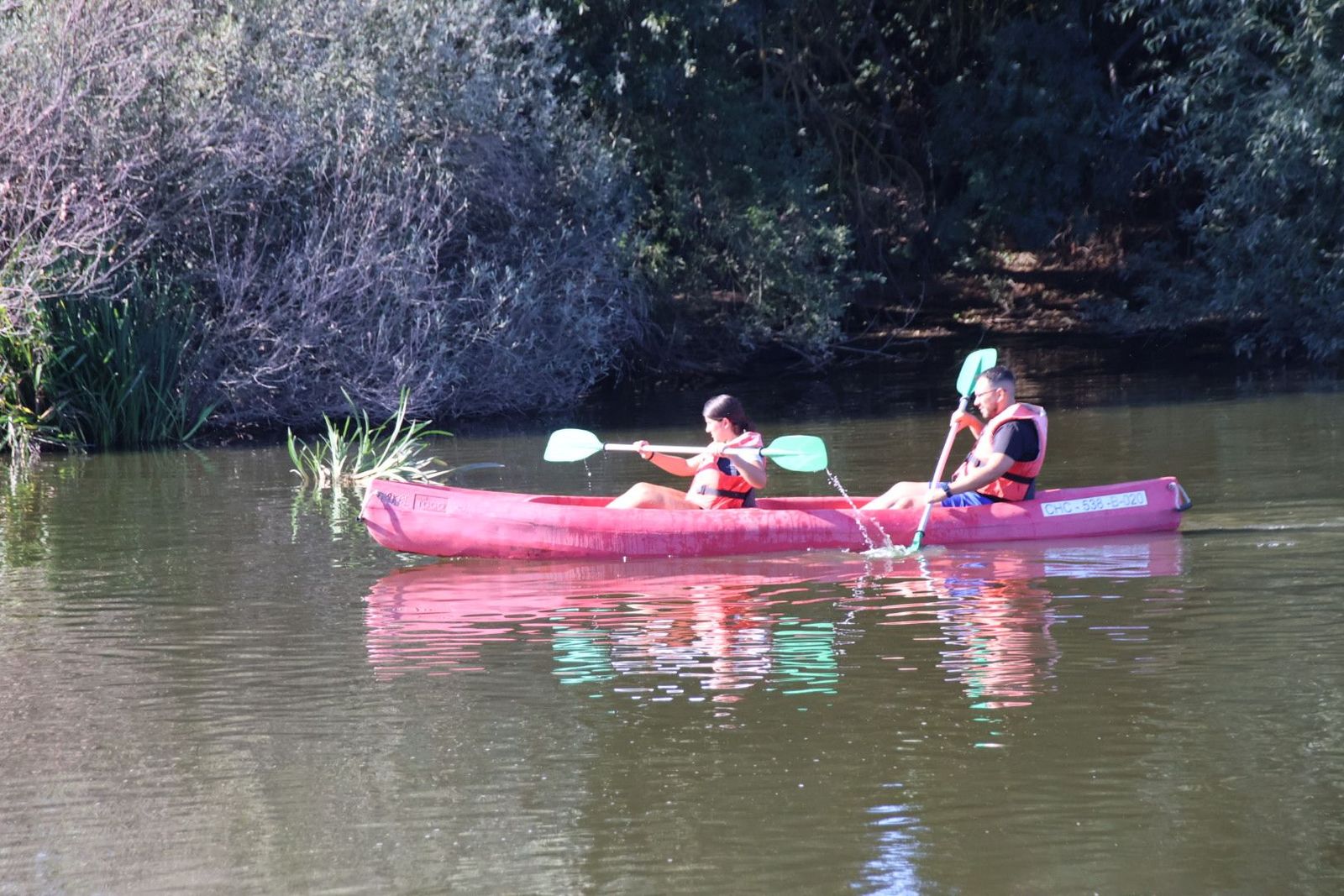 20230813092034-img-1332