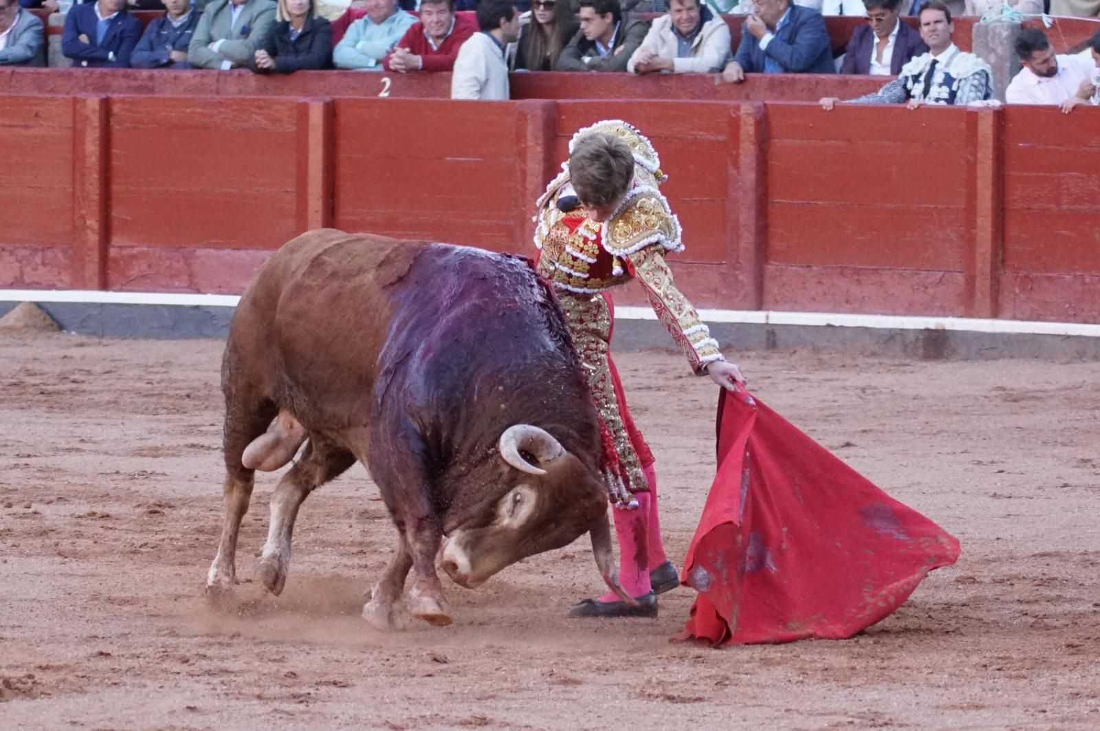 La corrida concurso para despedir la feria con Morante, Talavante y Borja Jiménez: imágenes de los mejores momentos en La Glorieta