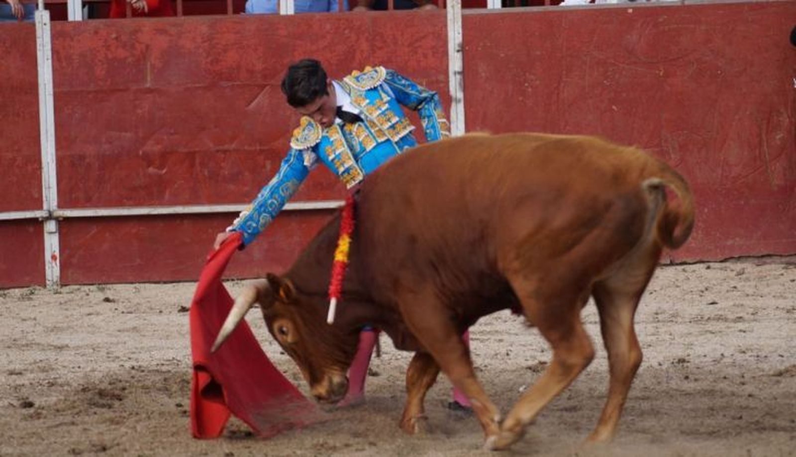Novillada en Carrascal de Barregas 