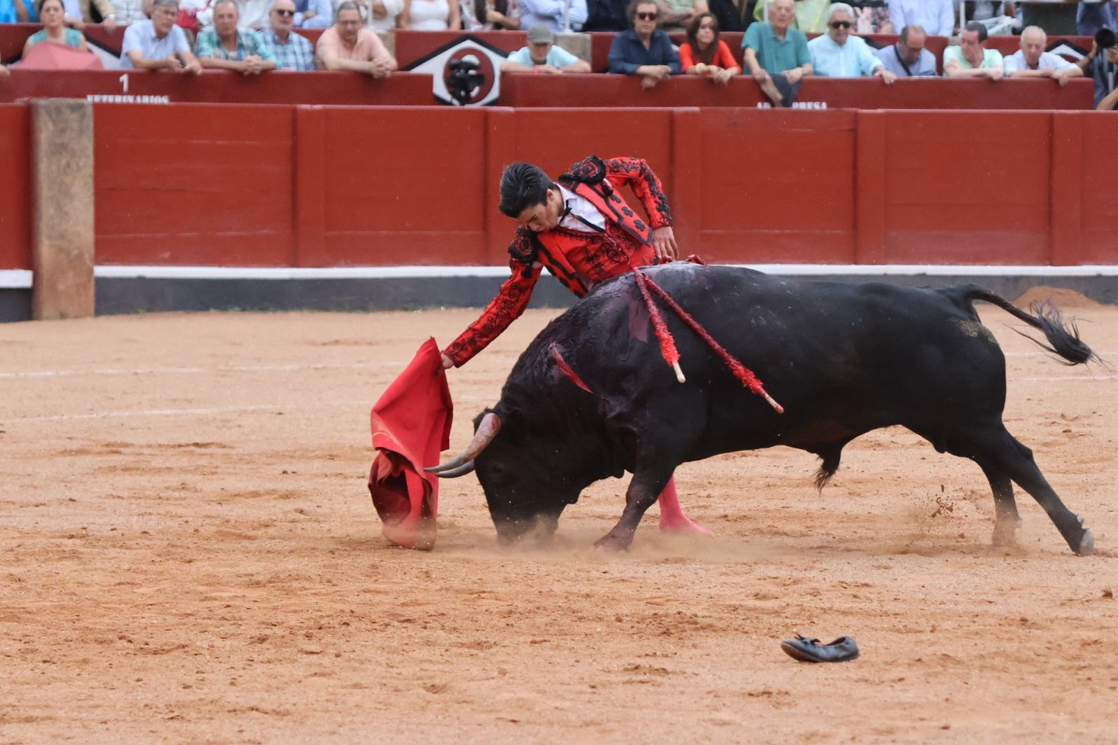 Ismael Martín, Marco Pérez y el aclamado regreso de Morante de la Puebla: su paso por La Glorieta en imágenes