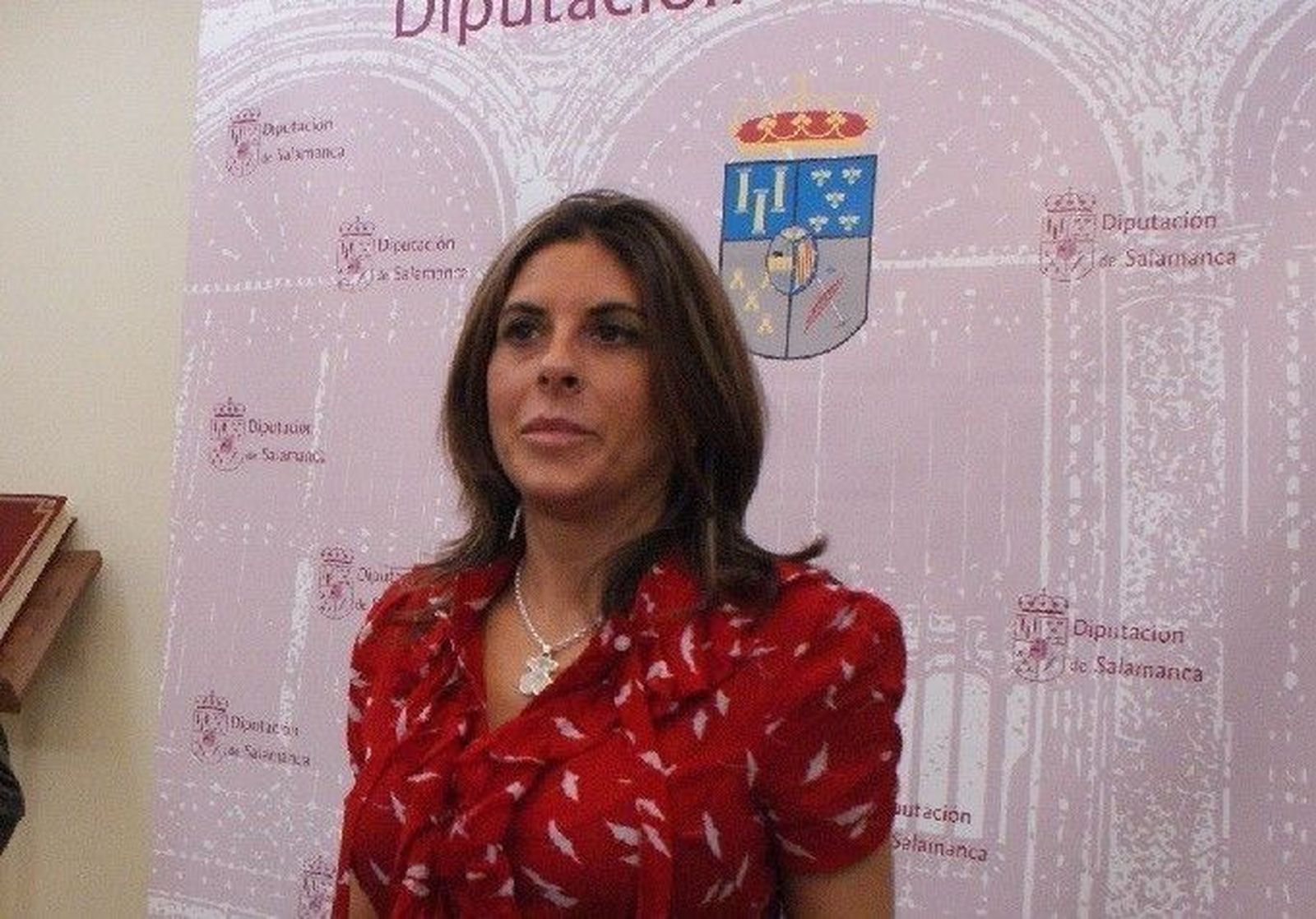 La Diputación incluye 65.000 euros en el certificado de pago pendiente a proveedores