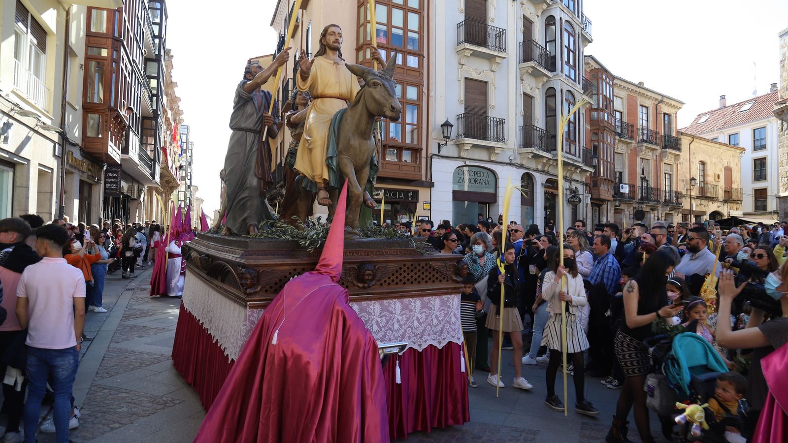 Imagen del paso de La Borriquita