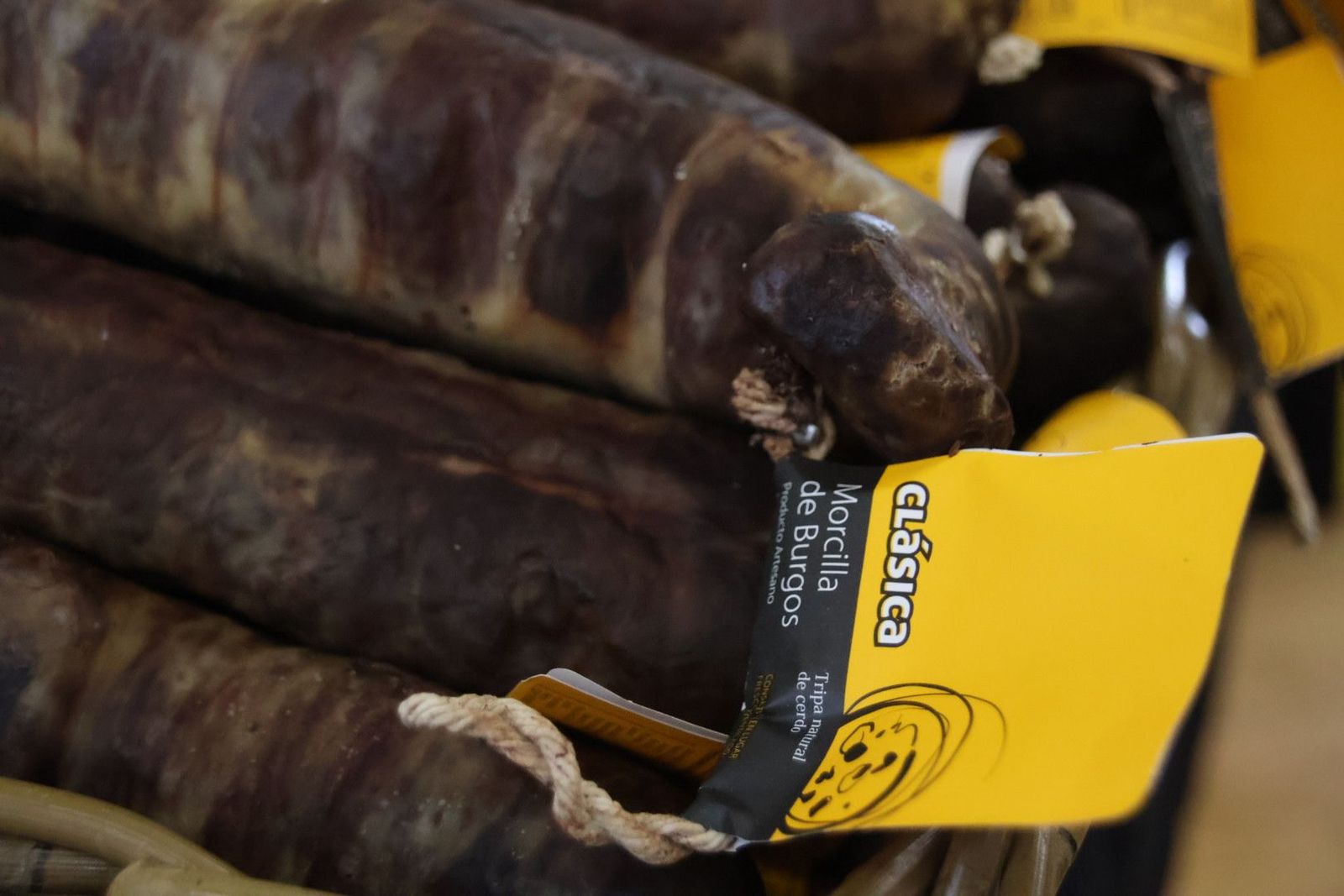 20230903105631-img-7632