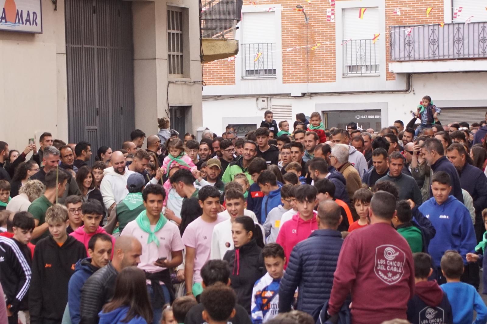 Alba de Tormes celebra un encierro, capea y encierro de minibueyes
