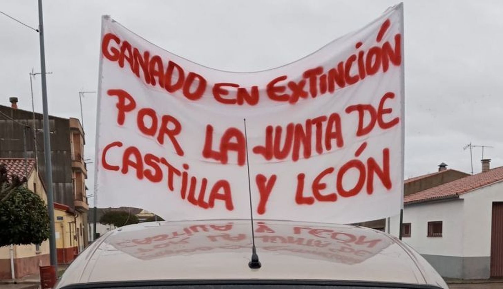 Los ganaderos de Vitigudino afectados por la tuberculosis piden a la Junta "un cambio de rumbo y un diálogo real"