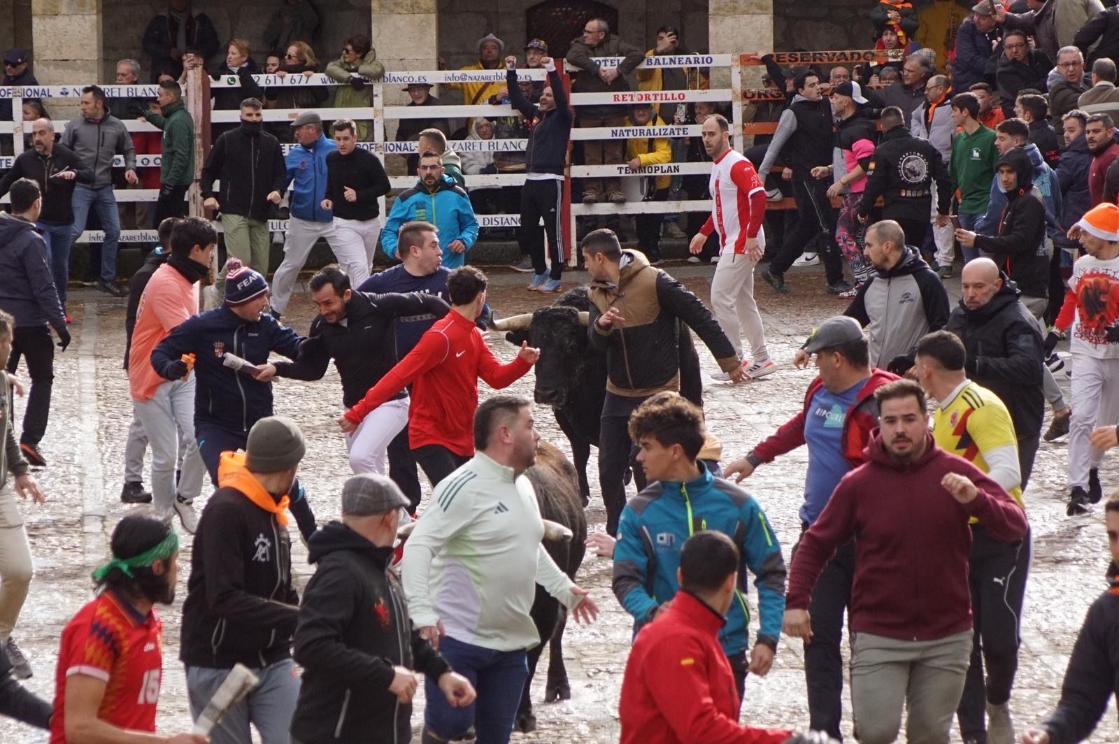 El encierro de Lunes de Carnaval en Ciudad Rodrigo en imágenes