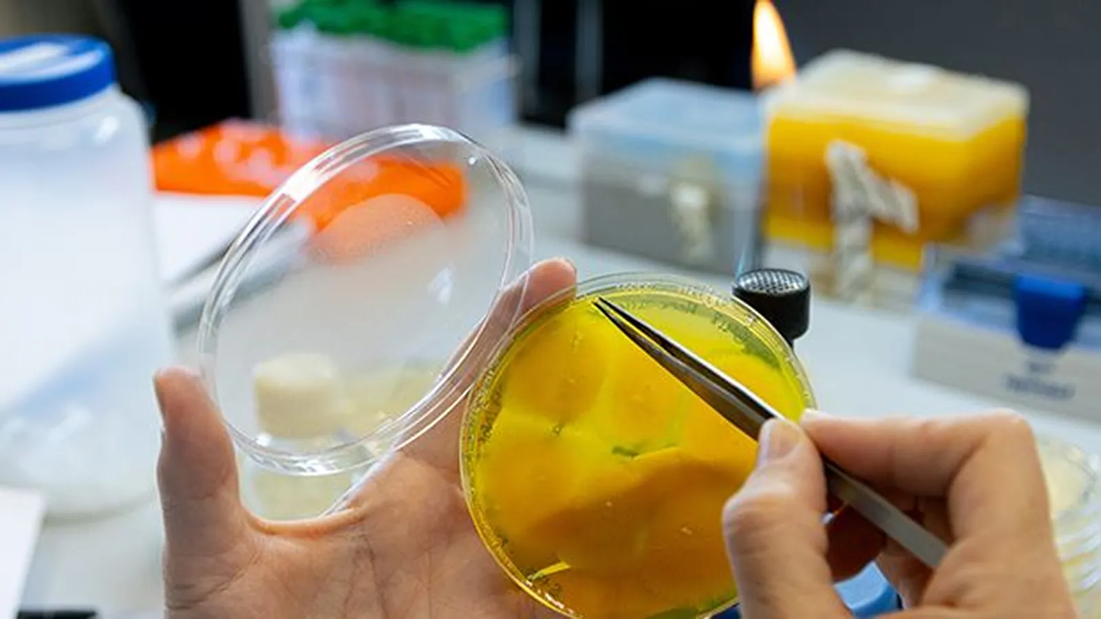 Imágen de la noticia