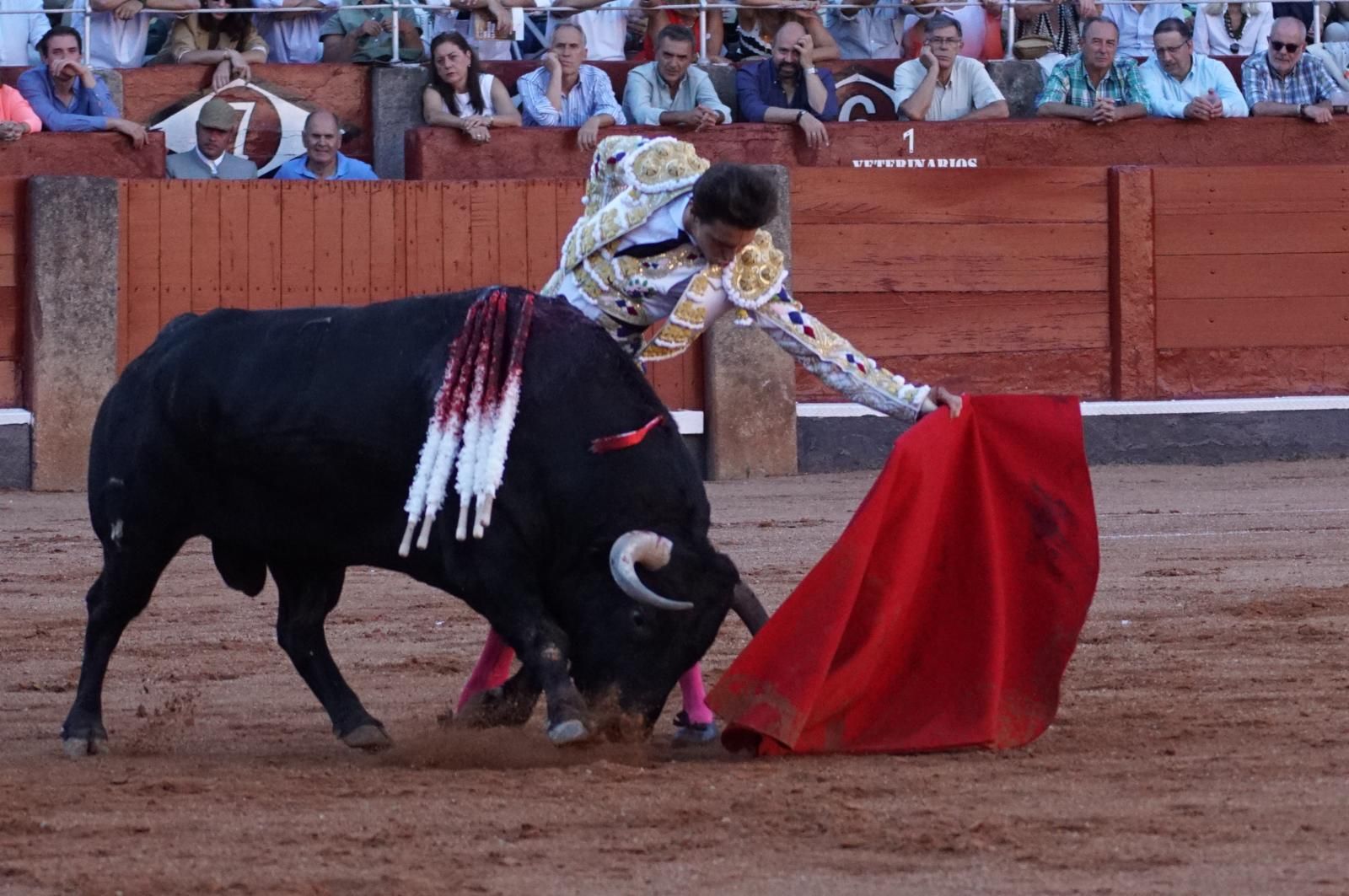 Emilio de Justo, Juan Ortega y Roca Rey inauguran el cartel de figuras en la feria de Salamanca: la corrida de Garcigrande en imágenes